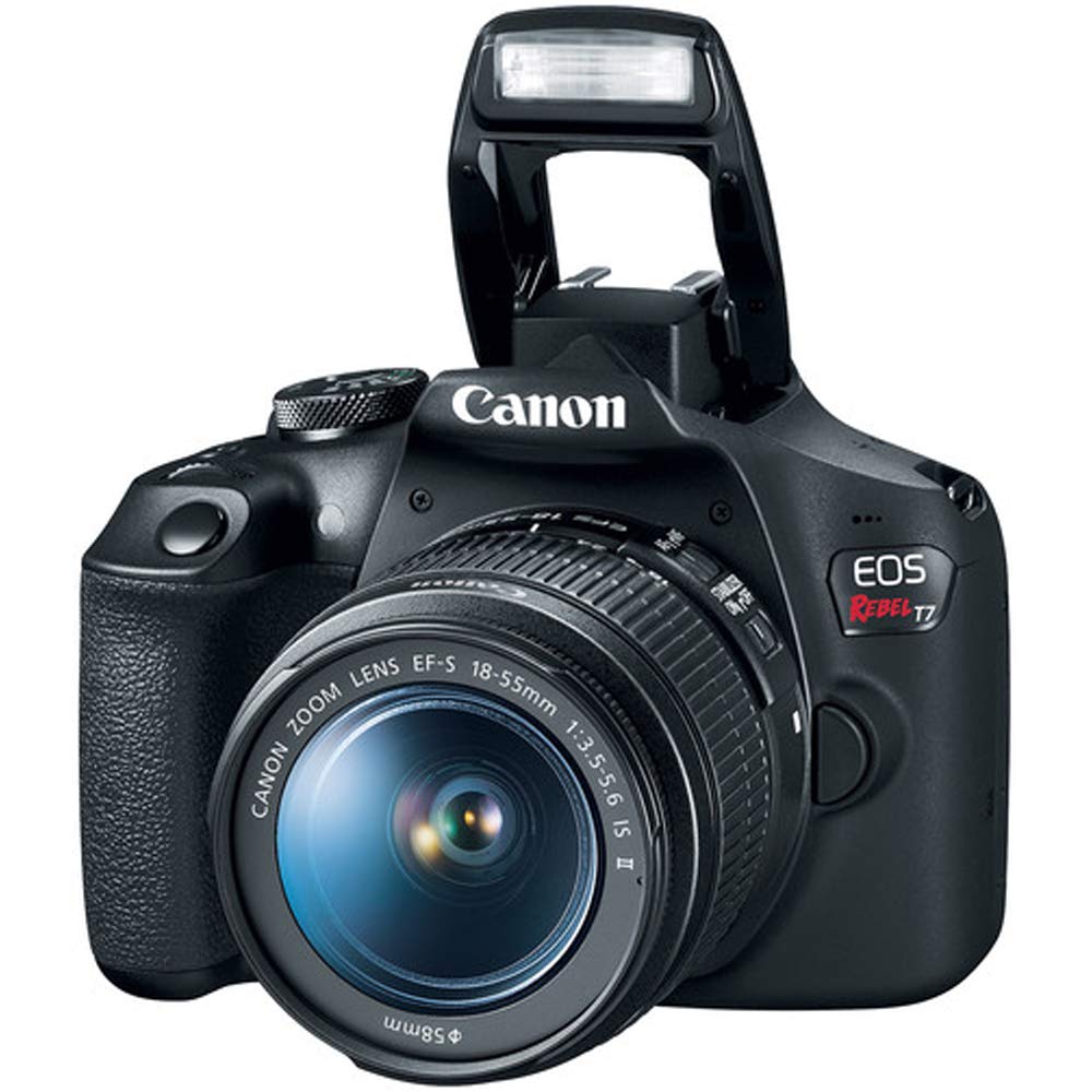 Canon EOS Rebel T7 with extra battery for longer shooting sessions.