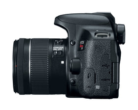 Canon EOS Rebel T7i clear low-light performance with high ISO capability.