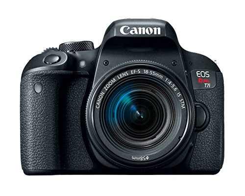 Canon EOS Rebel T7i live view focusing demonstrates quick focus for candid shots.