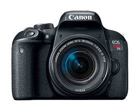 Canon EOS Rebel T7i live view focusing demonstrates quick focus for candid shots.