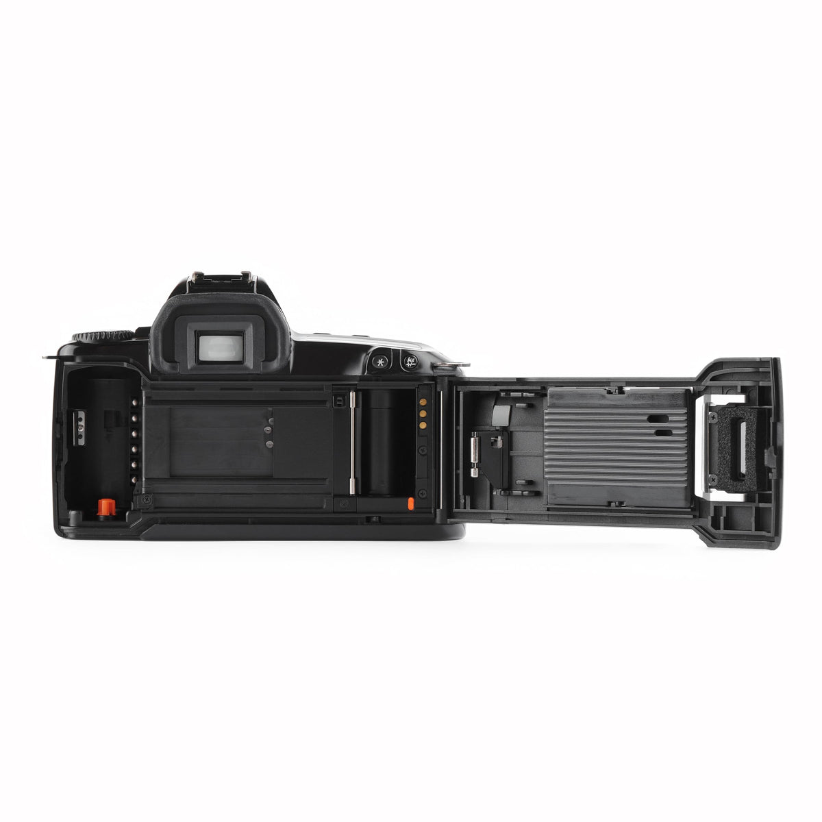 Canon EOS Rebel X built-in flash provides reliable illumination for portraits