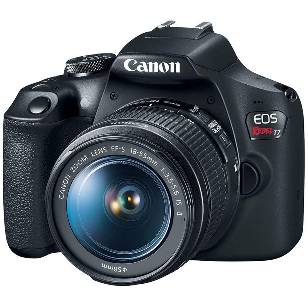 Canon EOS Rebel T7 with 75-300mm zoom for distant subjects and reach.