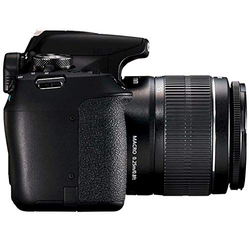 Canon EOS Rebel T7 charger for quick recharges between shoots.