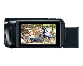 Canon VIXIA HF R800 tele macro mode for close-ups at range.