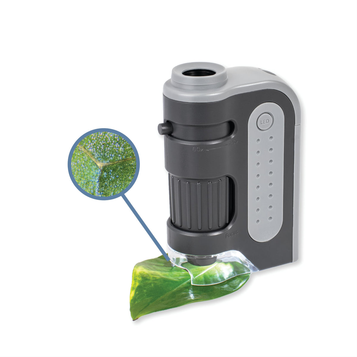 Carson MicroBrite LED light detail providing bright even illumination