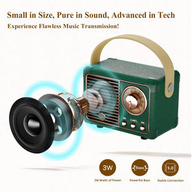 Caulikine vintage speaker outdoors for beach or picnic use