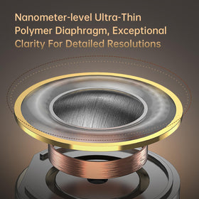 CCA ND DD3 silver-plated 2-pin cable image enables easy upgrade or replacement