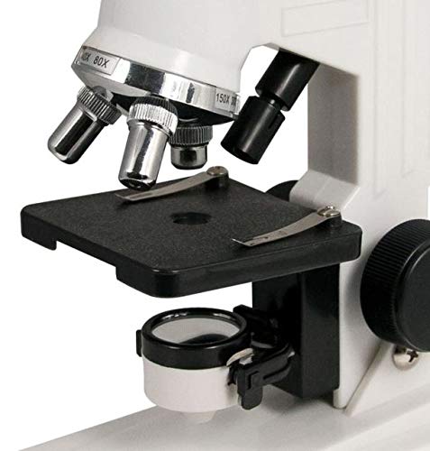 Celestron 44121 microscope in use with magnification for learning.