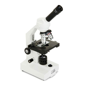CM2000CF eyepieces show 10x and 20x magnification options for detailed viewing