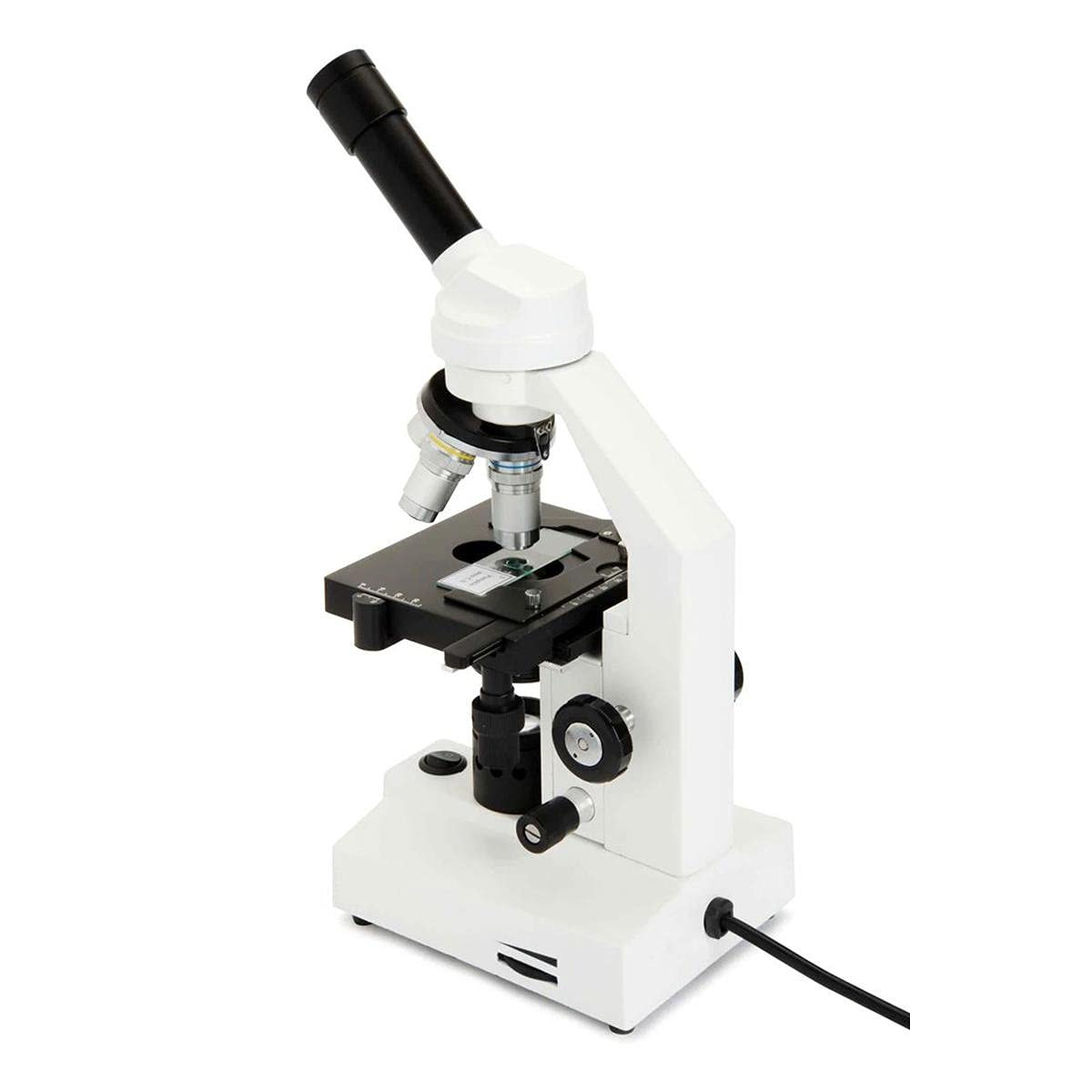 Lower illumination system on CM2000CF enhances slide visibility during viewing