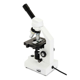 Lower illumination system on CM2000CF enhances slide visibility during viewing