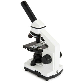 Celestron CM800 LED illumination provides bright, cool lighting for accurate viewing.
