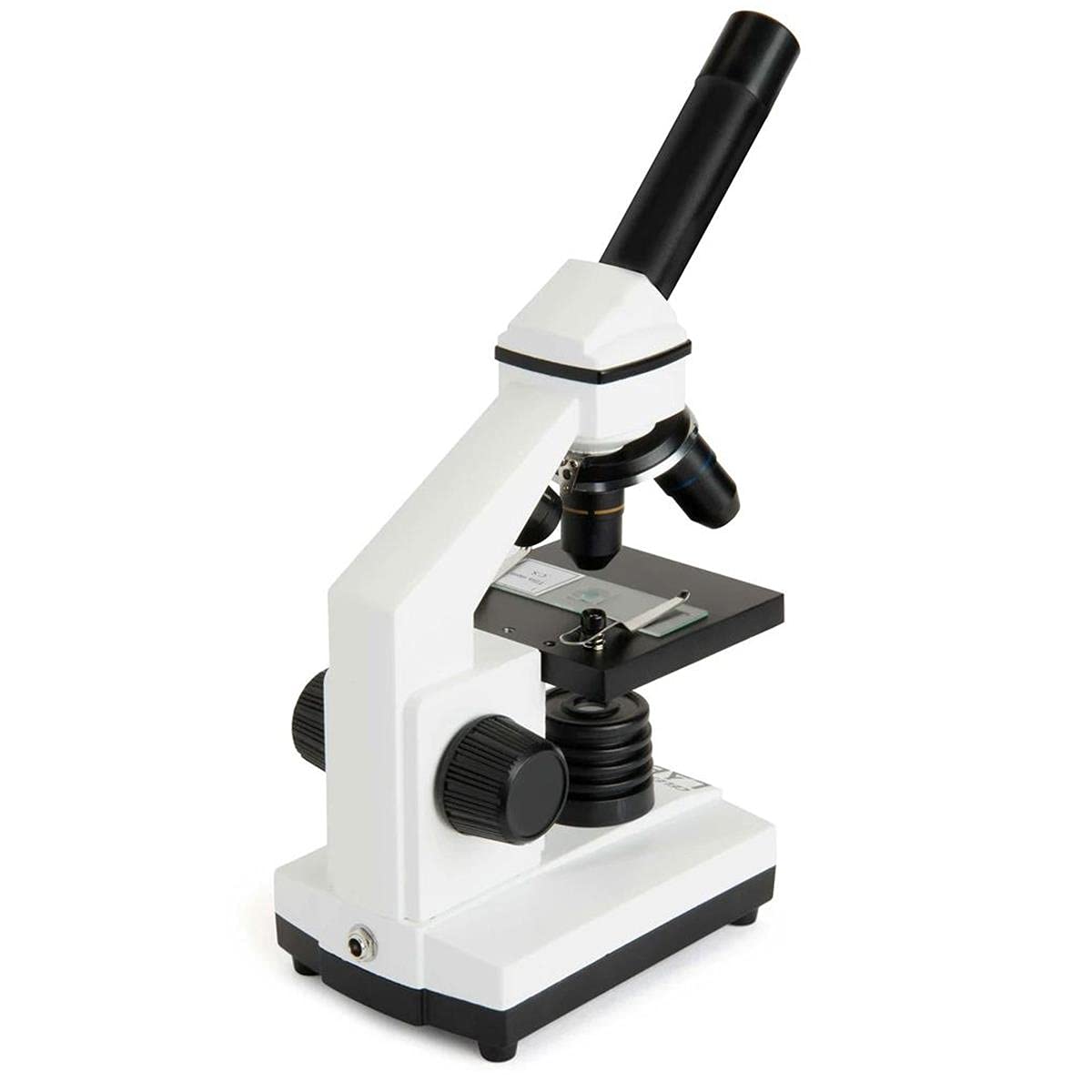 Celestron CM800 adjustable stage with clips for precise slide positioning.