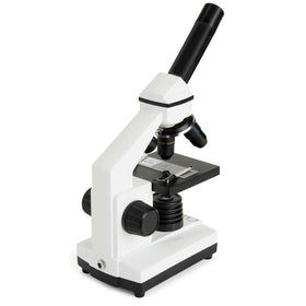 Celestron CM800 adjustable stage with clips for precise slide positioning.