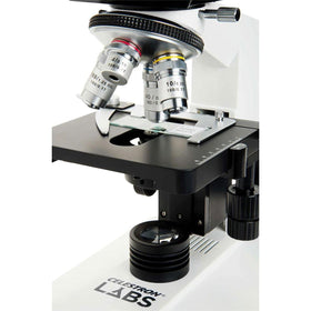Built-in halogen illumination ensures bright, even field