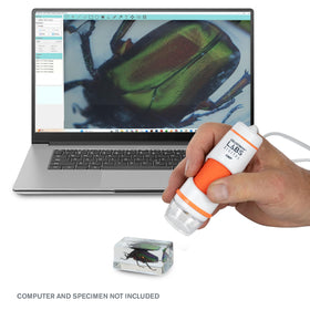 Celestron Labs Digital software enables capture, measurement, and notes with calibration ruler