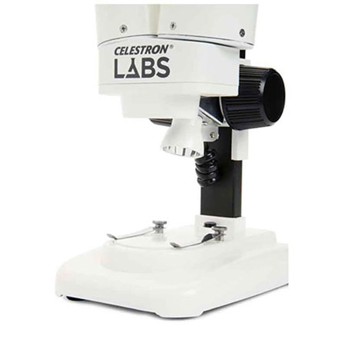 Celestron Labs S20 includes two insect specimens for immediate study
