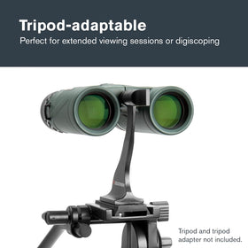 Celestron Nature DX 10x32 32mm objective lenses capture more light.