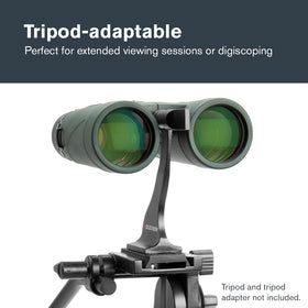 Celestron Nature DX 10x42 close-focus 6.5 feet for near subjects.