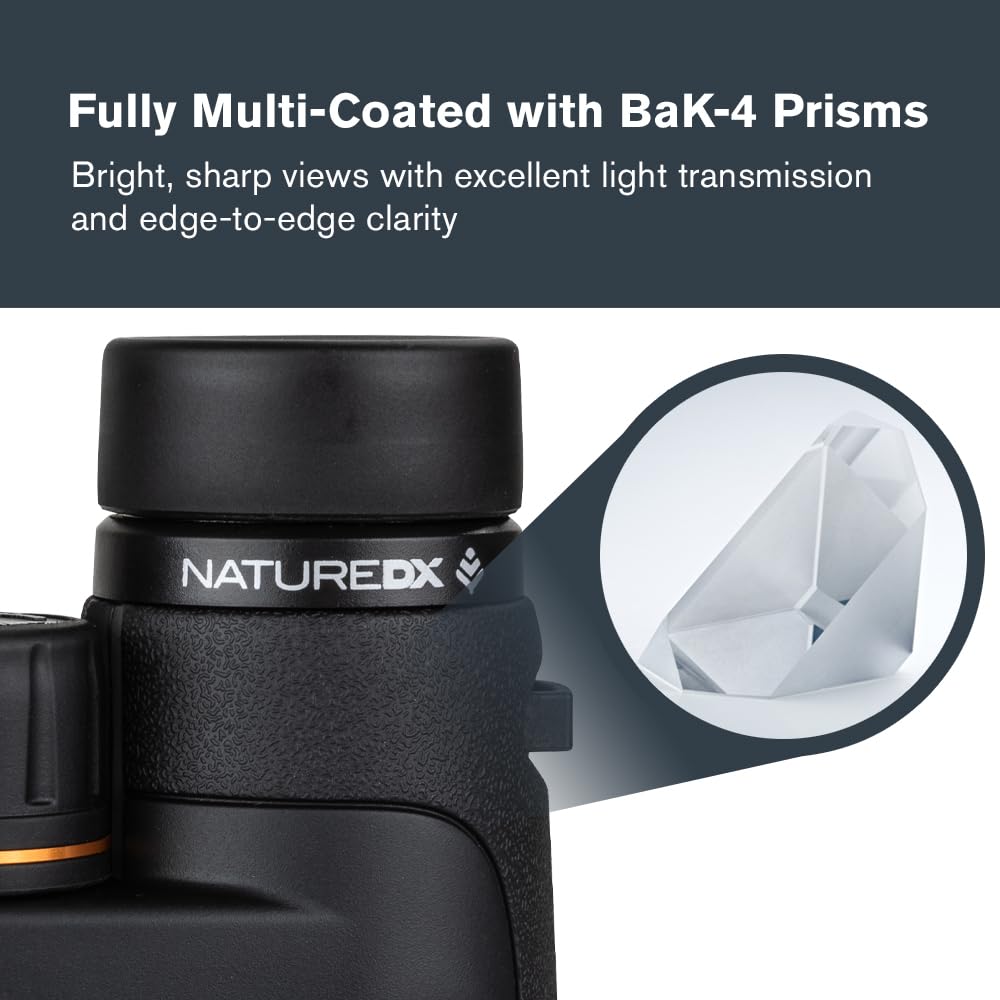 Celestron Nature DX 12x50 binoculars feature 50mm objectives for bright, detailed viewing.