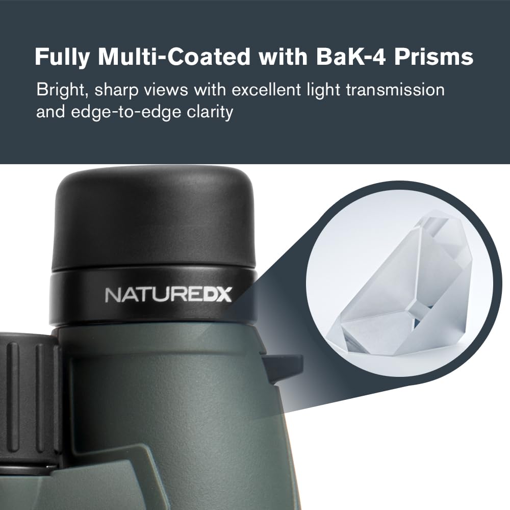 Celestron Nature DX 12x56 with 56mm objectives maximize brightness for low-light scenes.
