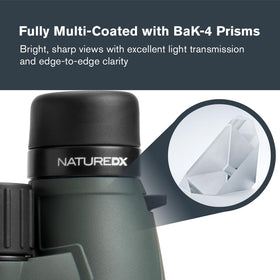 Celestron Nature DX 12x56 with 56mm objectives maximize brightness for low-light scenes.