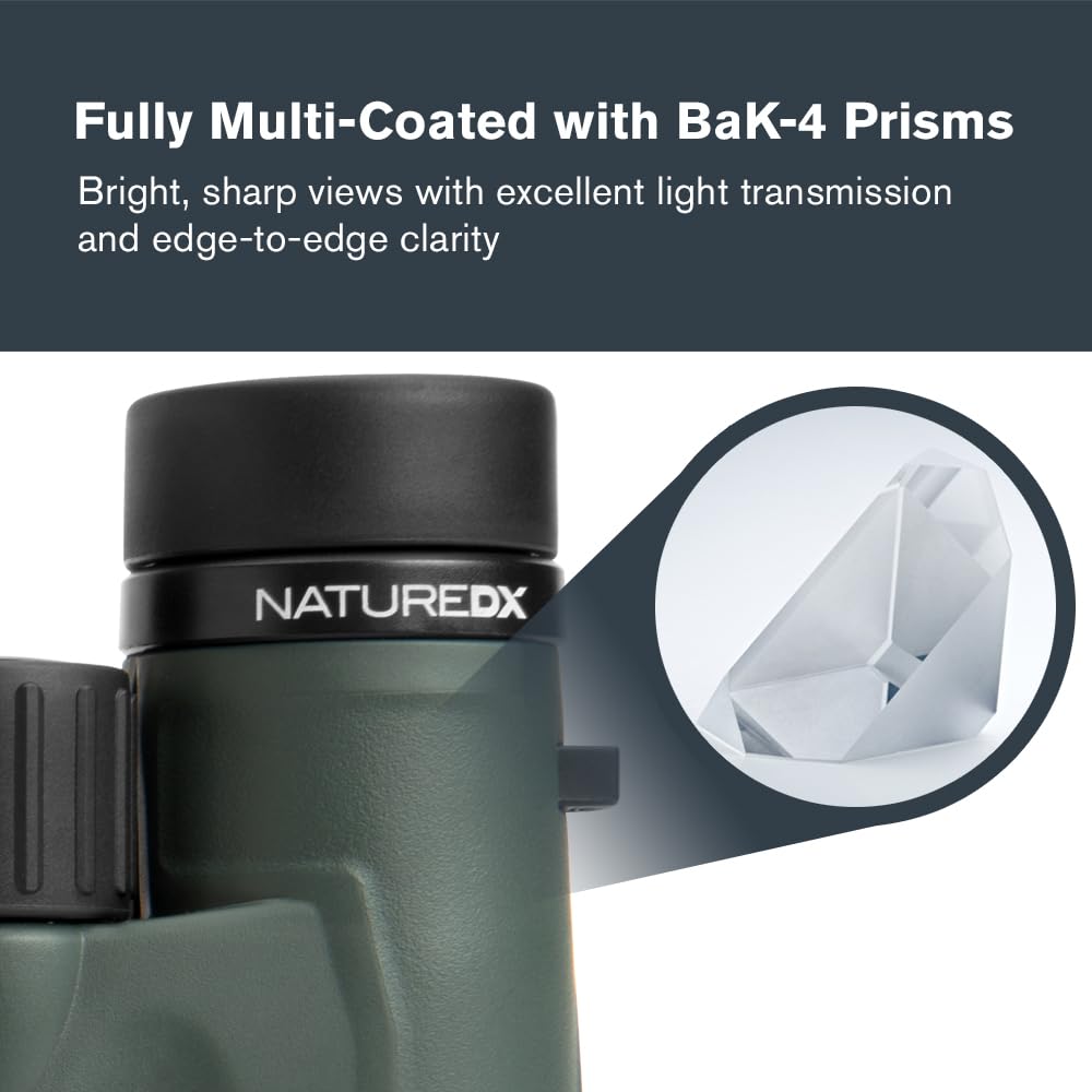 Celestron Nature DX 8x32 binoculars reveal distant landscapes with high contrast and sharpness.