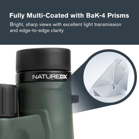Celestron Nature DX 8x32 binoculars reveal distant landscapes with high contrast and sharpness.