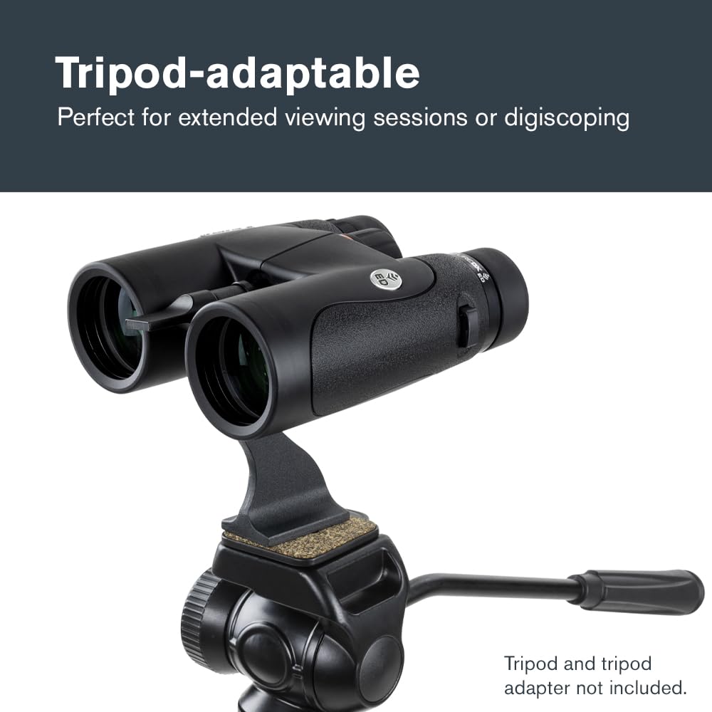 Celestron Nature DX 10x42 5.9° field of view for tracking birds.