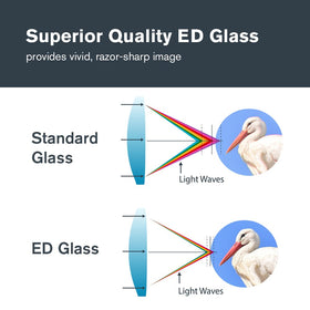 Objective lenses on Celestron Nature DX ED 12x50 show sharp color and detail