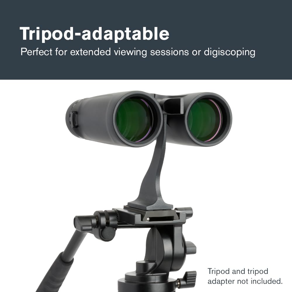 Celestron Outland X 10x42 eyecups comfortable for glasses wearers