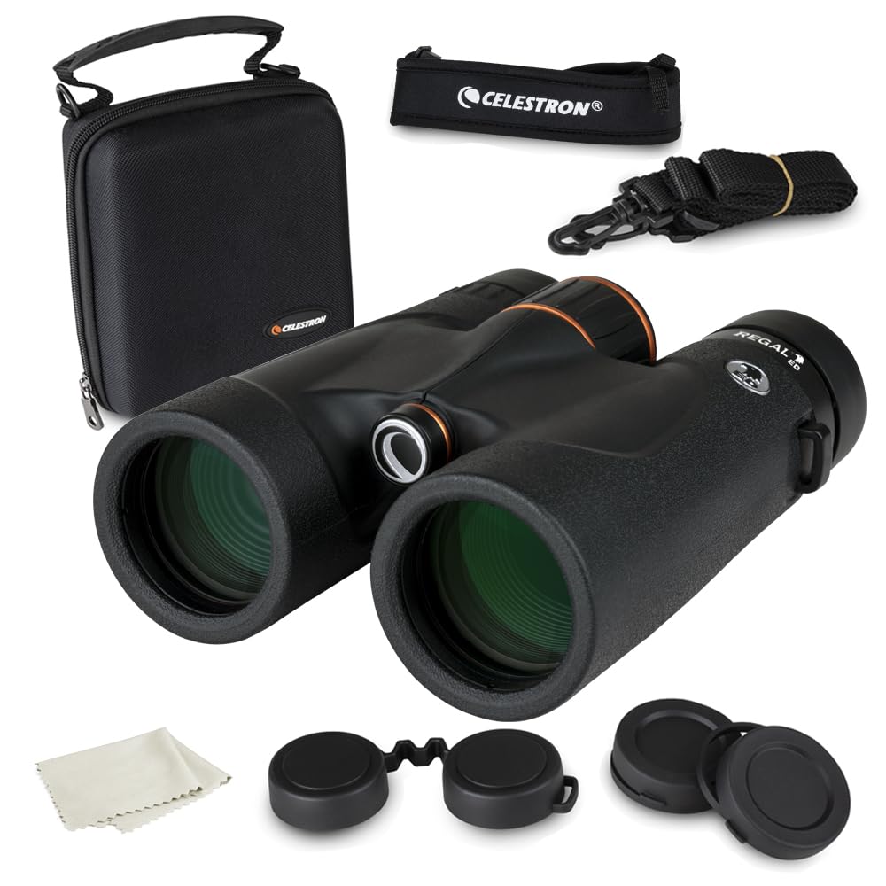 Celestron Regal ED 10x42 close focus view reveals nearby subject detail.