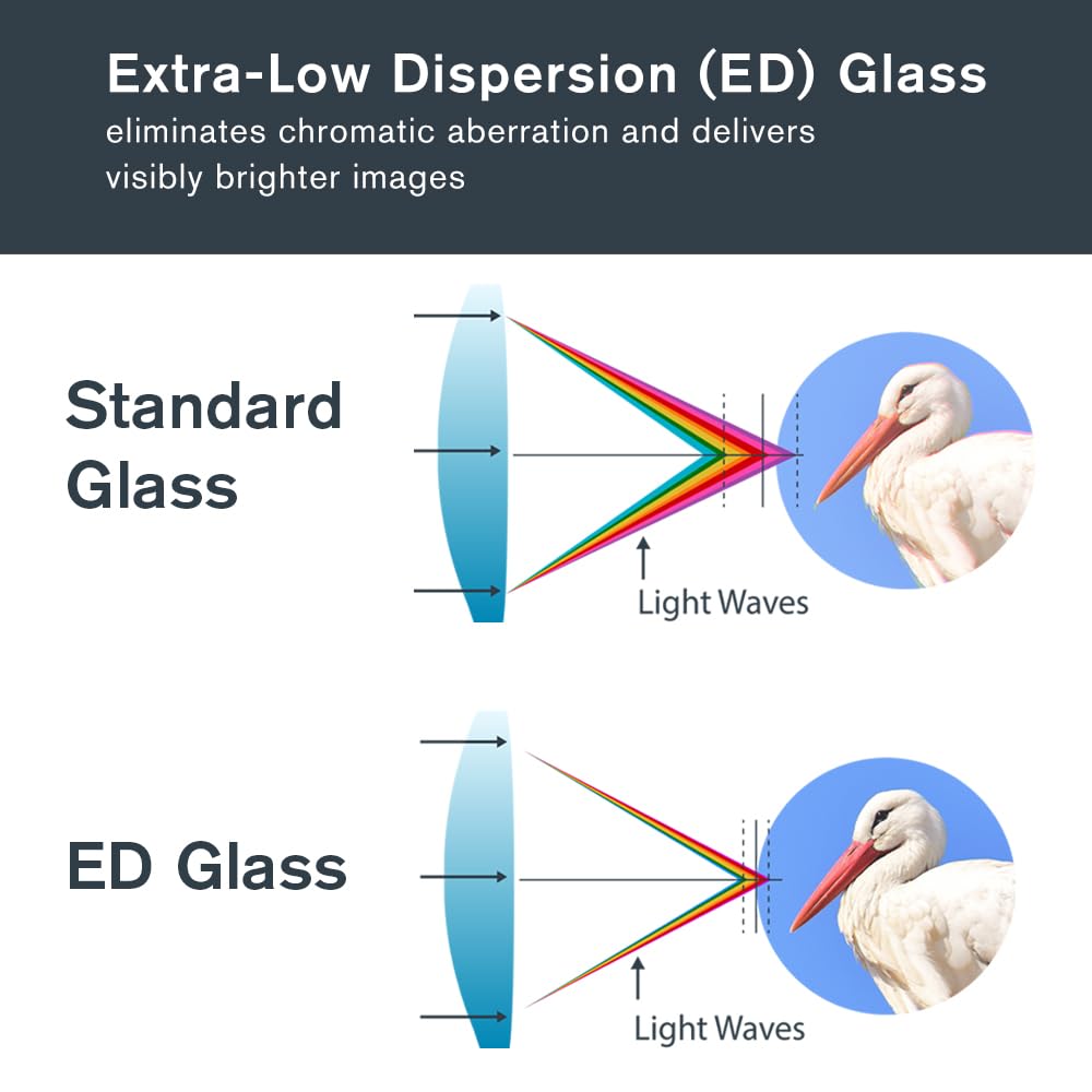 Celestron Regal ED 10x42 BaK-4 prisms deliver bright, true-to-life color.