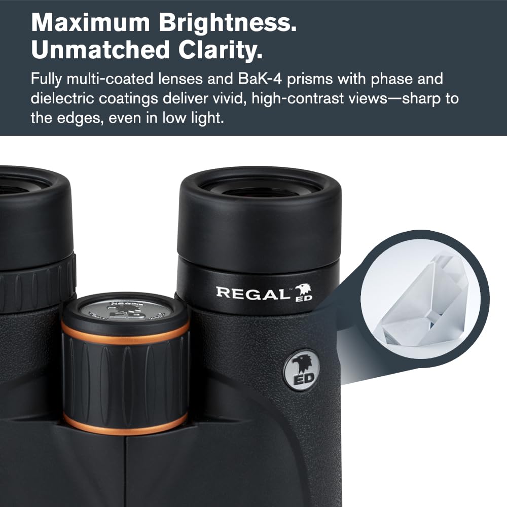 Celestron Regal ED 10x42 magnesium alloy body offers robust, comfortable handling.