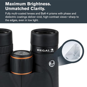 Celestron Regal ED 10x42 magnesium alloy body offers robust, comfortable handling.