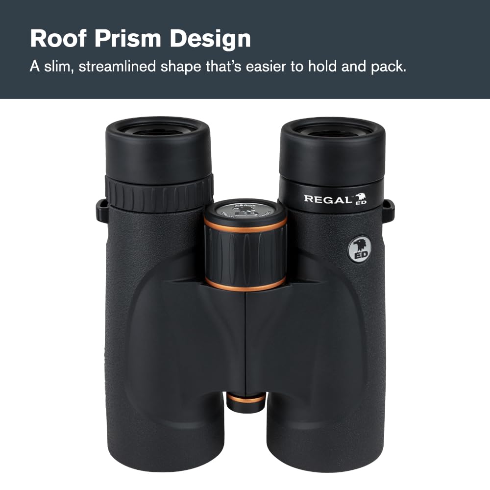 Celestron Regal ED 10x42 eyecups work well with or without glasses.