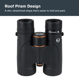 Celestron Regal ED 10x42 eyecups work well with or without glasses.
