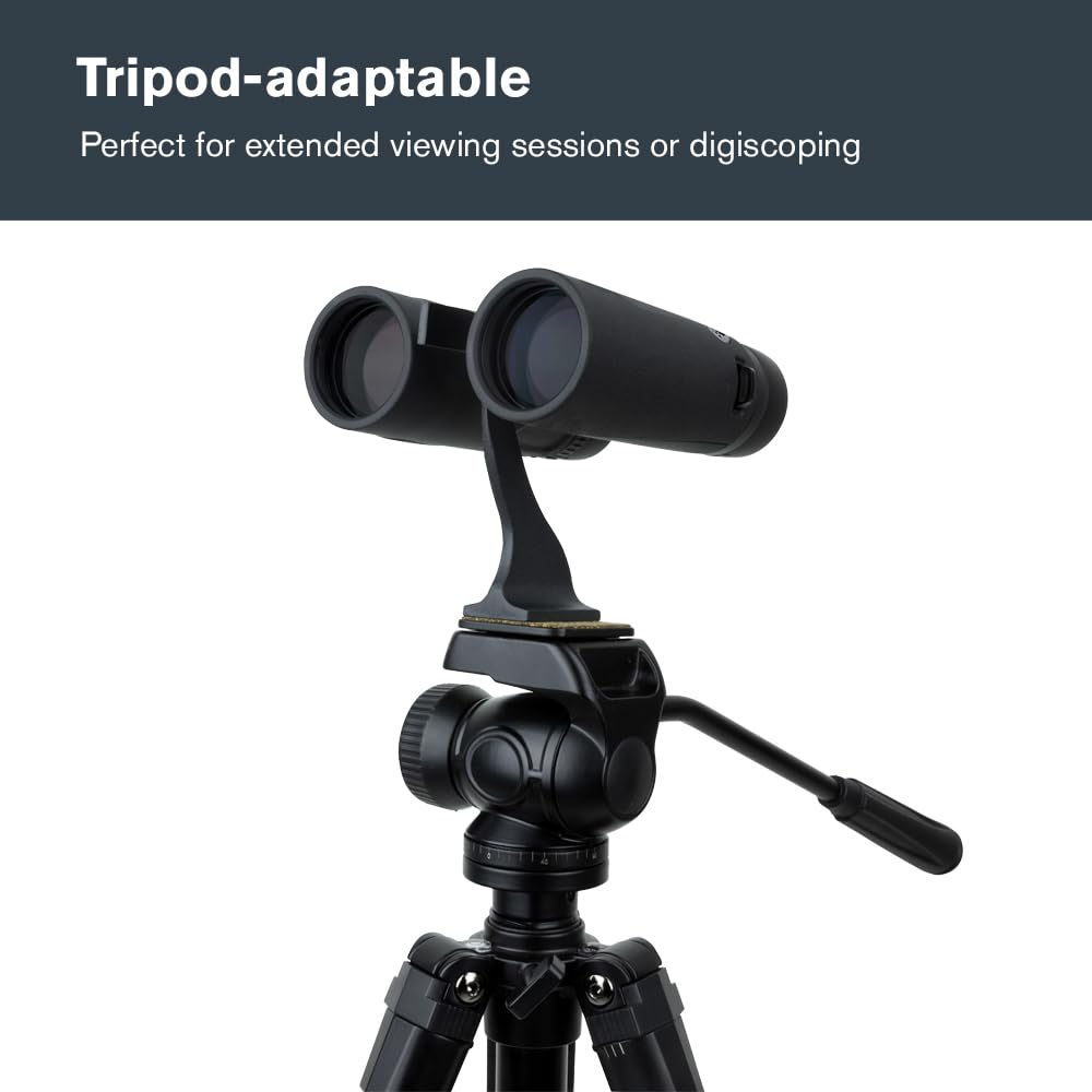 Celestron Regal ED 10x42 carrying strap for on-the-go use.