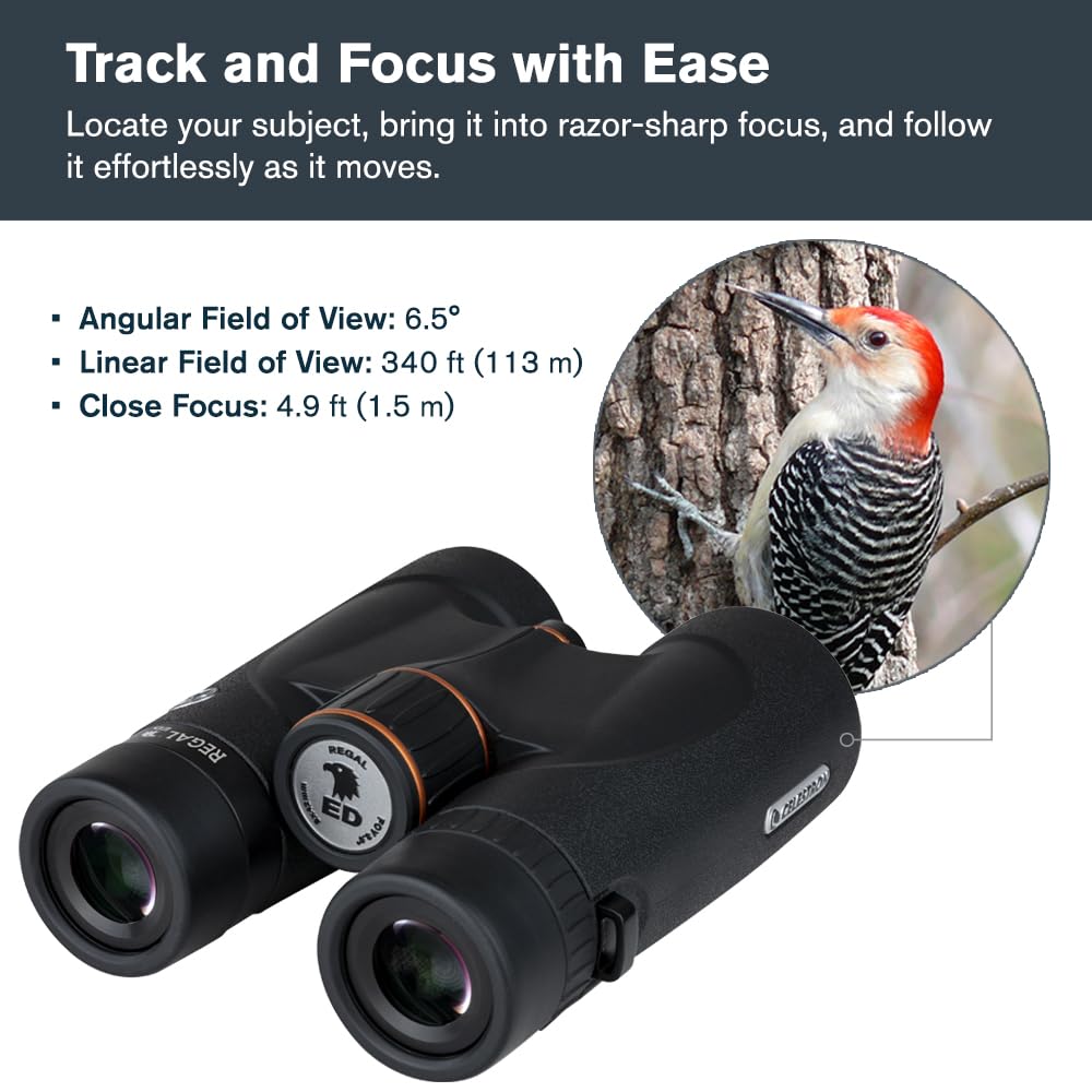 Celestron Regal ED 10x42 tripod-ready for extended viewing.