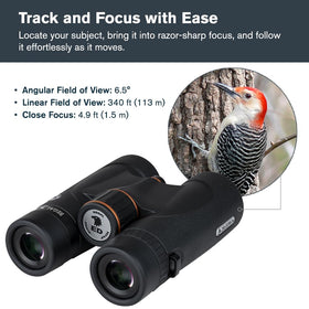 Celestron Regal ED 10x42 tripod-ready for extended viewing.