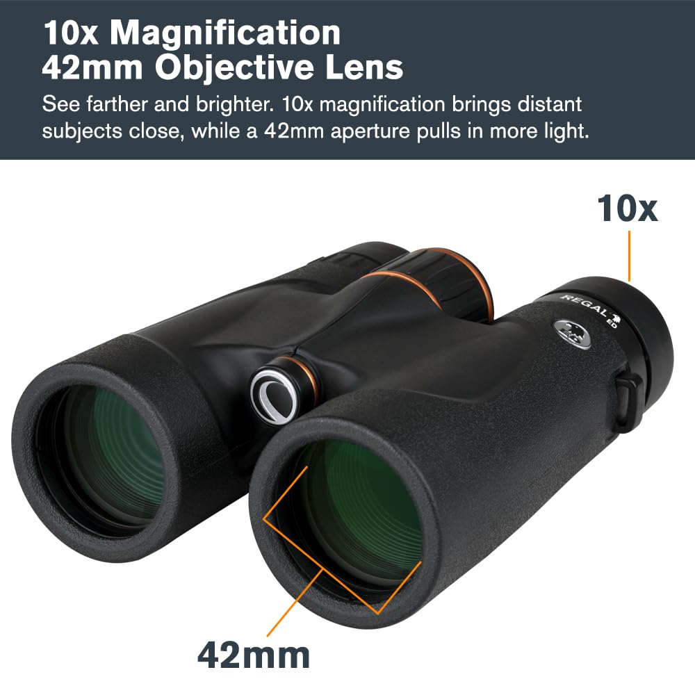 Celestron Regal ED 10x42 waterproof and nitrogen-filled for fog-free viewing.