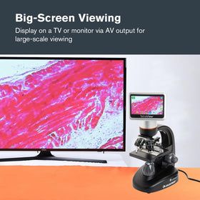 Celestron TetraView includes seven prepared slides for immediate exploration.
