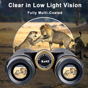 Cert Leidis binoculars mounted on included tripod for stable hands-free use