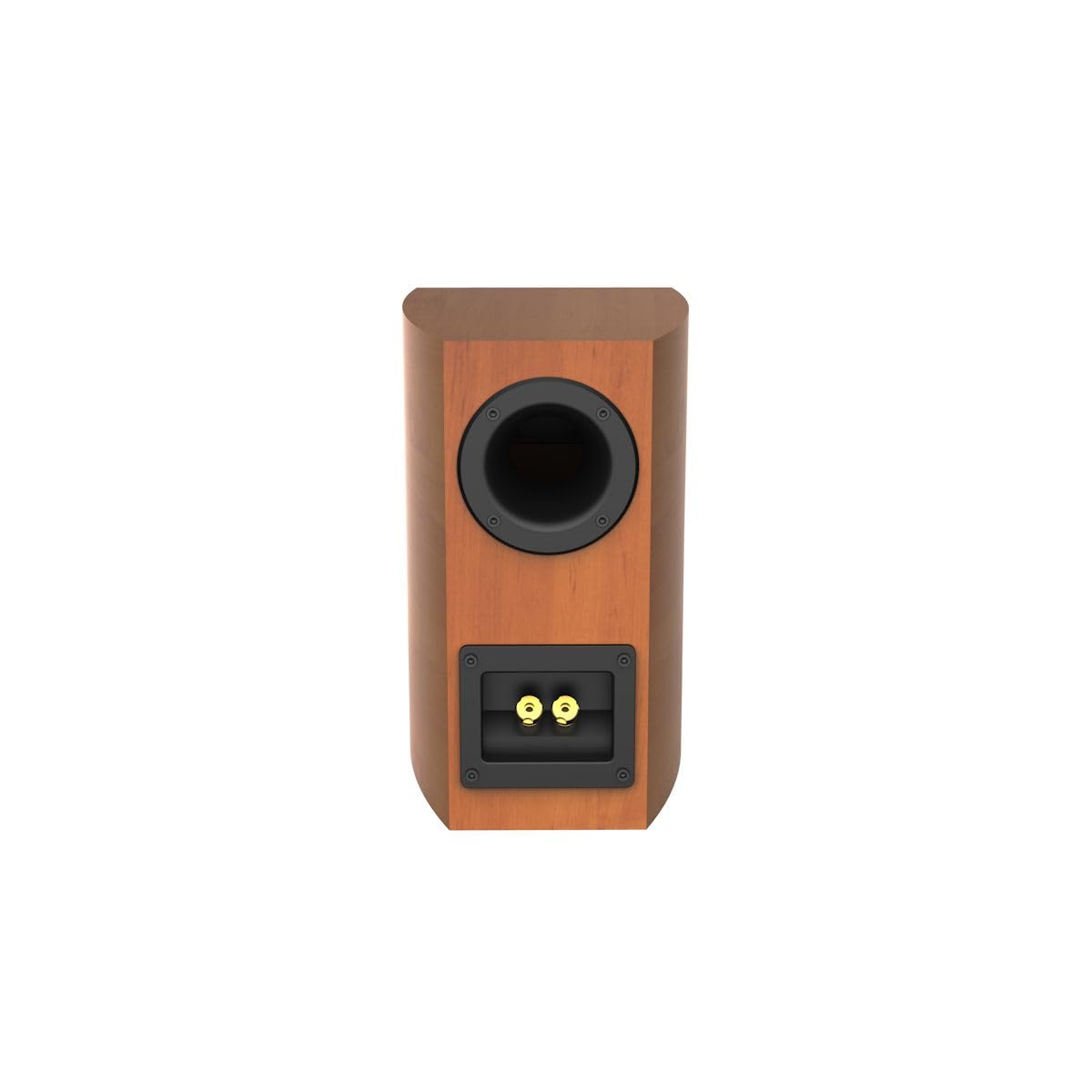 CERWIN-VEGA LA14C Cognac in living room setup for immersive listening.