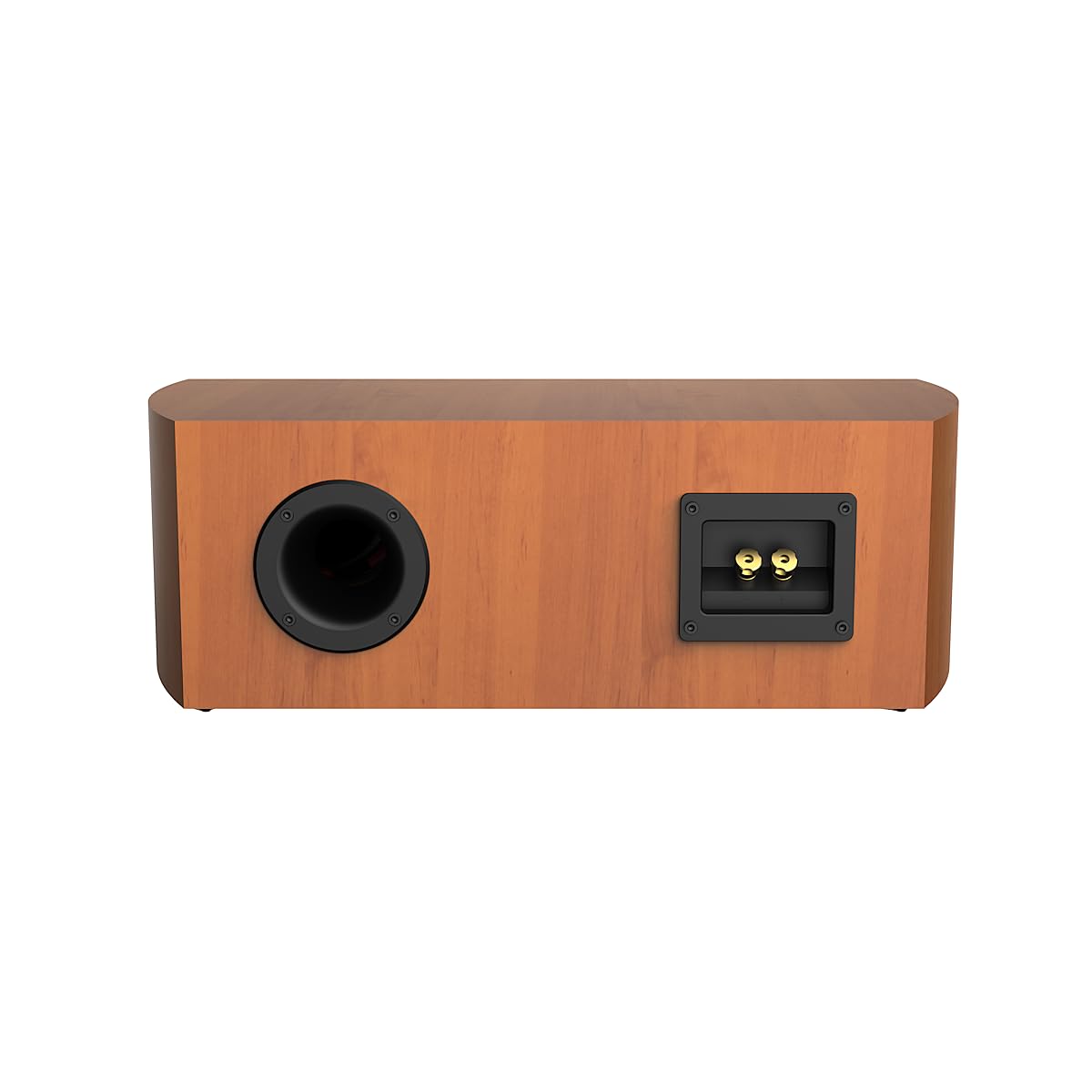 Cerwin-Vega LA24C gold connectors close-up emphasizes premium compatibility.