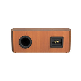 Cerwin-Vega LA24C gold connectors close-up emphasizes premium compatibility.