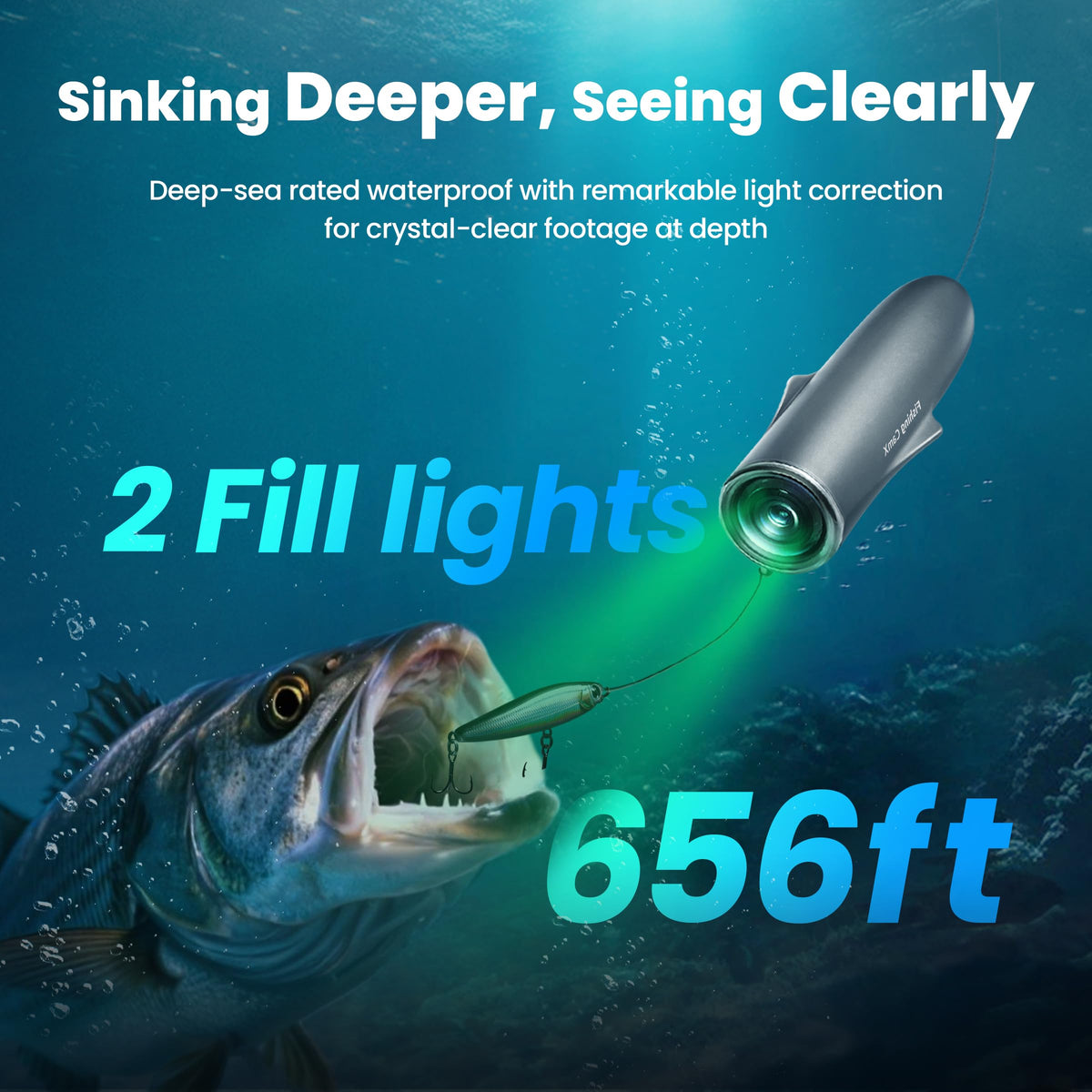 Chasing CanFish motion-sensing recording for hands-free capture