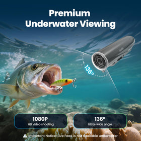 Chasing CanFish wide-angle view shows broad underwater scenes for lure placement