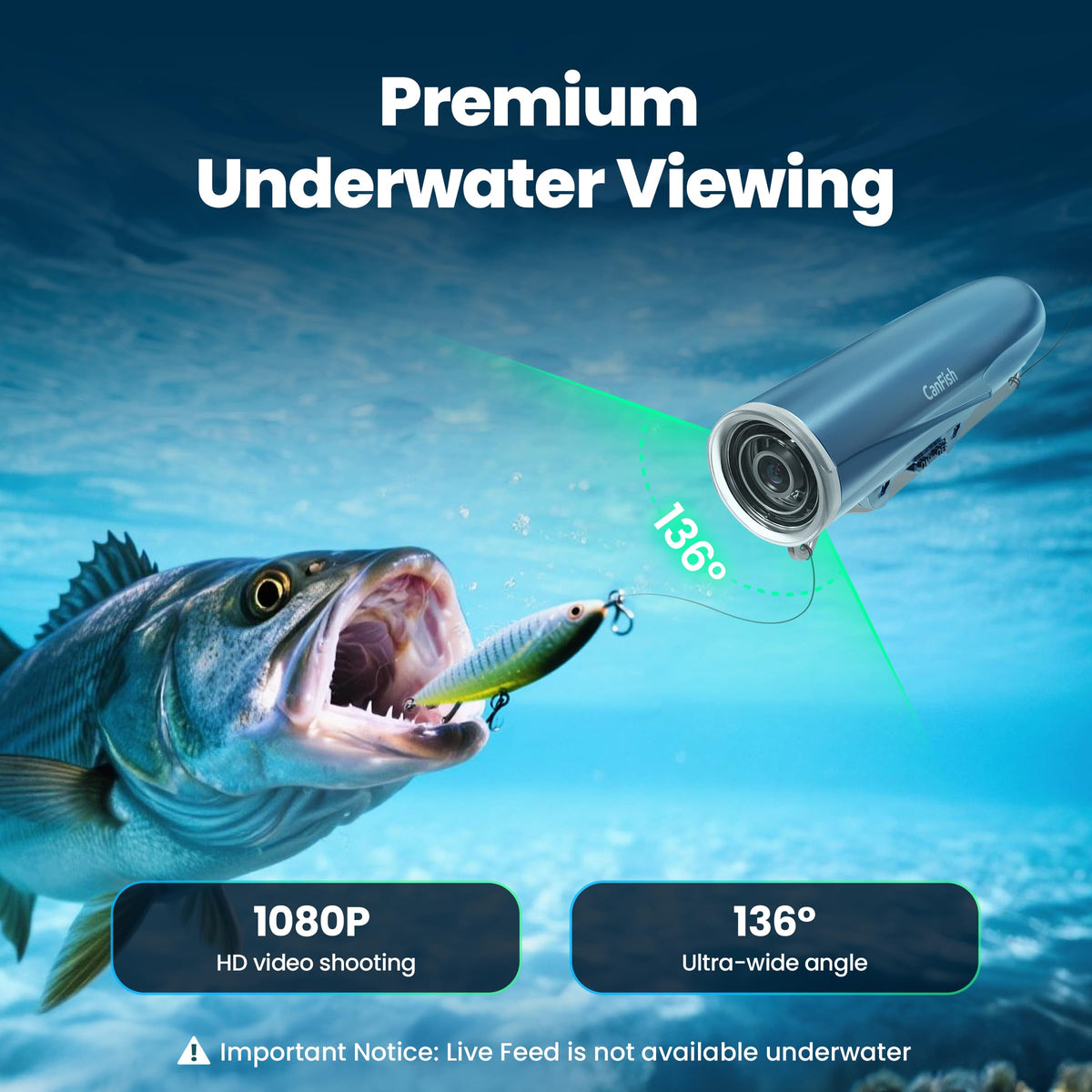 Chasing CanFish CamX night-vision LED lights illuminate nocturnal underwater scenes