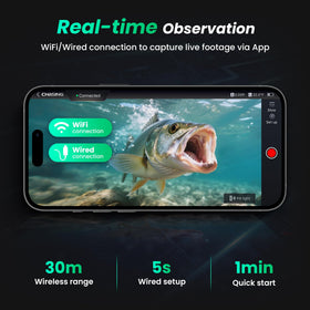 Chasing CF1 1080p HD video captures underwater scenes vividly.